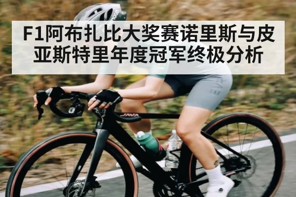 F1阿布扎比大奖赛诺里斯与皮亚斯特里年度冠军终极分析