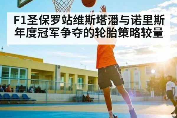 F1圣保罗站维斯塔潘与诺里斯年度冠军争夺的轮胎策略较量